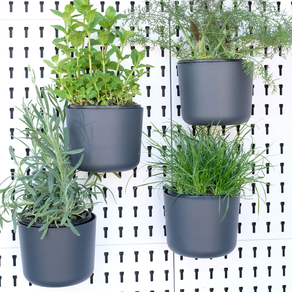 Large Container Bulk Pack