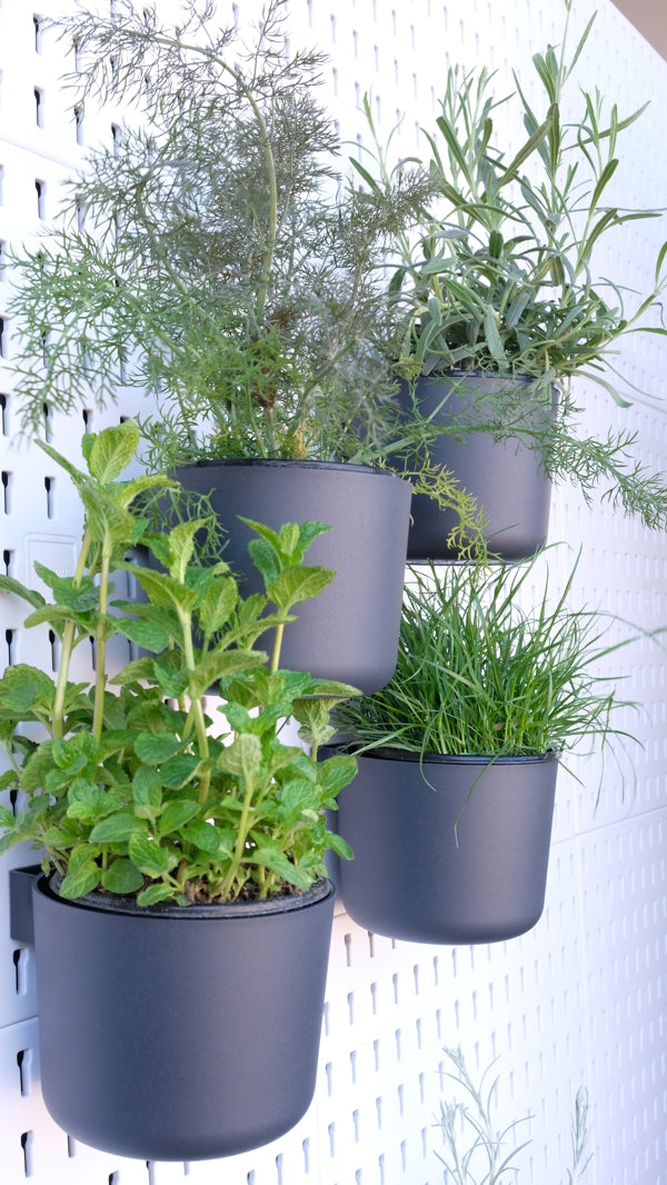 Large Container / Herb Pot